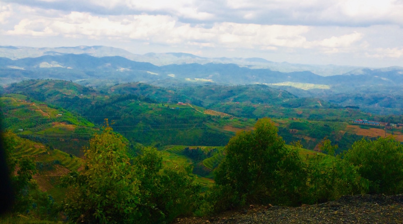 Rolling green terraced hills receding into the distance in western Rwanda, the Land of a Thousand Hills.